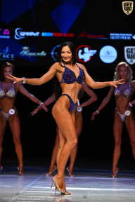 Кубок Вологодской области по бодибилдингу - 2026