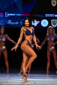 Кубок Вологодской области по бодибилдингу - 2026