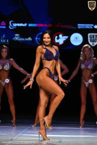 Кубок Вологодской области по бодибилдингу - 2026