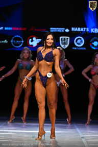 Кубок Вологодской области по бодибилдингу - 2026