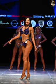 Кубок Вологодской области по бодибилдингу - 2026