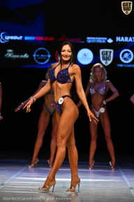 Кубок Вологодской области по бодибилдингу - 2026