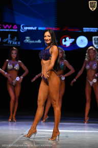 Кубок Вологодской области по бодибилдингу - 2026