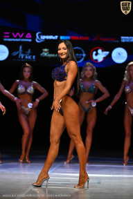 Кубок Вологодской области по бодибилдингу - 2026