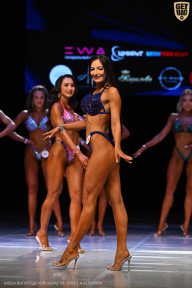 Кубок Вологодской области по бодибилдингу - 2026