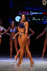 Кубок Вологодской области по бодибилдингу - 2026