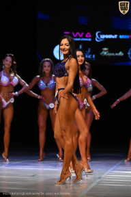 Кубок Вологодской области по бодибилдингу - 2026