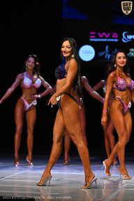 Кубок Вологодской области по бодибилдингу - 2026