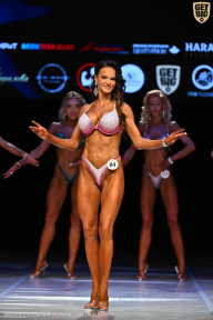 Кубок Вологодской области по бодибилдингу - 2026