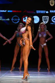 Кубок Вологодской области по бодибилдингу - 2026