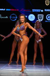 Кубок Вологодской области по бодибилдингу - 2026