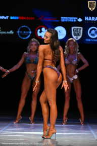 Кубок Вологодской области по бодибилдингу - 2026