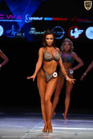 Кубок Вологодской области по бодибилдингу - 2026