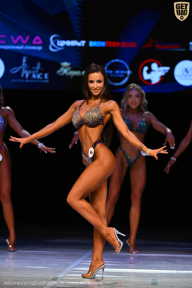 Кубок Вологодской области по бодибилдингу - 2026