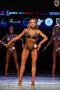 Кубок Вологодской области по бодибилдингу - 2026