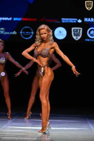 Кубок Вологодской области по бодибилдингу - 2026