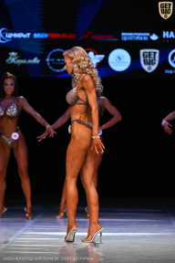 Кубок Вологодской области по бодибилдингу - 2026