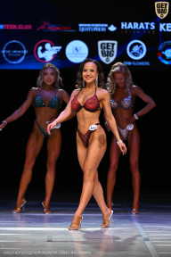 Кубок Вологодской области по бодибилдингу - 2026