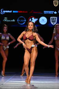 Кубок Вологодской области по бодибилдингу - 2026