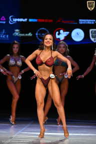 Кубок Вологодской области по бодибилдингу - 2026