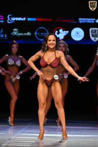 Кубок Вологодской области по бодибилдингу - 2026