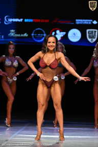 Кубок Вологодской области по бодибилдингу - 2026