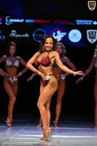 Кубок Вологодской области по бодибилдингу - 2026