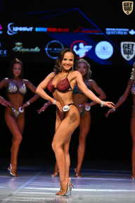 Кубок Вологодской области по бодибилдингу - 2026