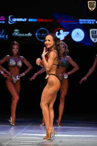 Кубок Вологодской области по бодибилдингу - 2026