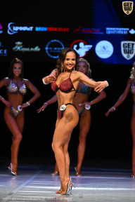 Кубок Вологодской области по бодибилдингу - 2026