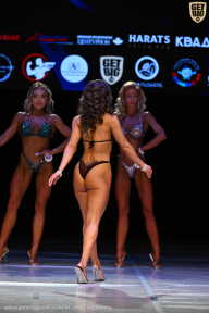 Кубок Вологодской области по бодибилдингу - 2026