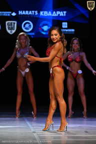 Кубок Вологодской области по бодибилдингу - 2026