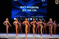 Кубок Вологодской области по бодибилдингу - 2026