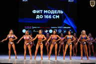 Кубок Вологодской области по бодибилдингу - 2026