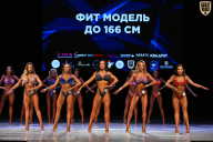 Кубок Вологодской области по бодибилдингу - 2026