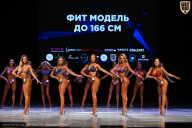 Кубок Вологодской области по бодибилдингу - 2026