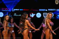 Кубок Вологодской области по бодибилдингу - 2026