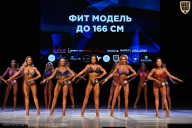 Кубок Вологодской области по бодибилдингу - 2026