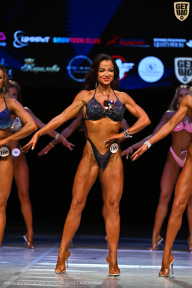 Кубок Вологодской области по бодибилдингу - 2026