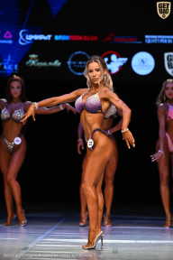 Кубок Вологодской области по бодибилдингу - 2026