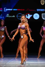 Кубок Вологодской области по бодибилдингу - 2026