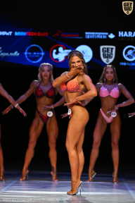 Кубок Вологодской области по бодибилдингу - 2026