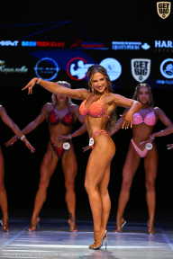 Кубок Вологодской области по бодибилдингу - 2026