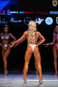 Кубок Вологодской области по бодибилдингу - 2026