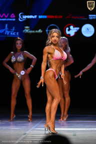 Кубок Вологодской области по бодибилдингу - 2026