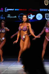 Кубок Вологодской области по бодибилдингу - 2026