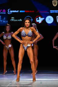 Кубок Вологодской области по бодибилдингу - 2026