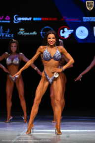 Кубок Вологодской области по бодибилдингу - 2026