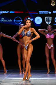 Кубок Вологодской области по бодибилдингу - 2026