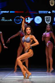 Кубок Вологодской области по бодибилдингу - 2026